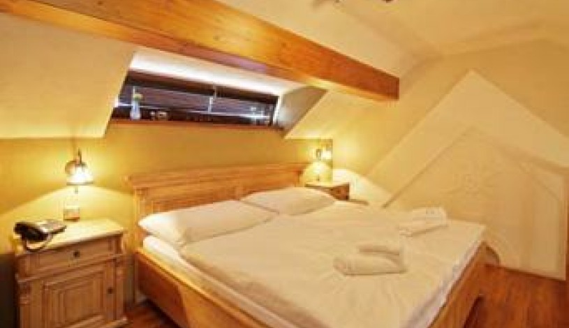 Hotel Horní Dvůr Nové Město na Moravě - Apartmán